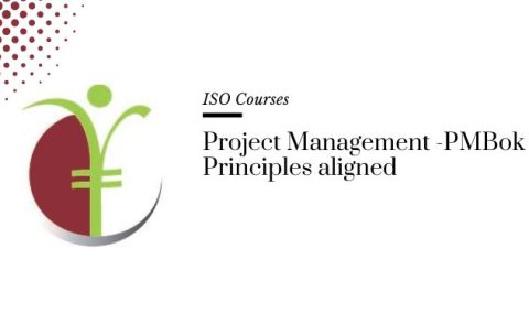 Project-Management-PMBok-Principles-aligned